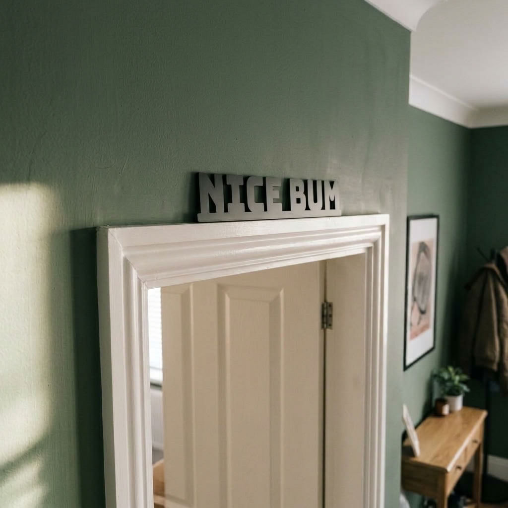 Black acrylic bathroom word art for quirky home decor